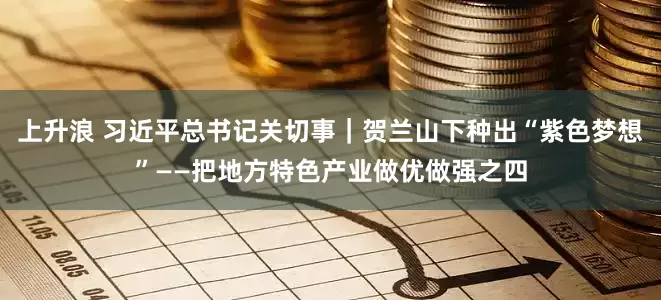 上升浪 习近平总书记关切事｜贺兰山下种出“紫色梦想”——把地方特色产业做优做强之四