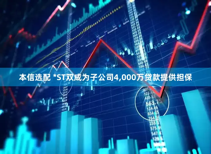 本信选配 *ST双成为子公司4,000万贷款提供担保