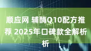 顺应网 辅酶Q10配方推荐 2025年口碑款全解析